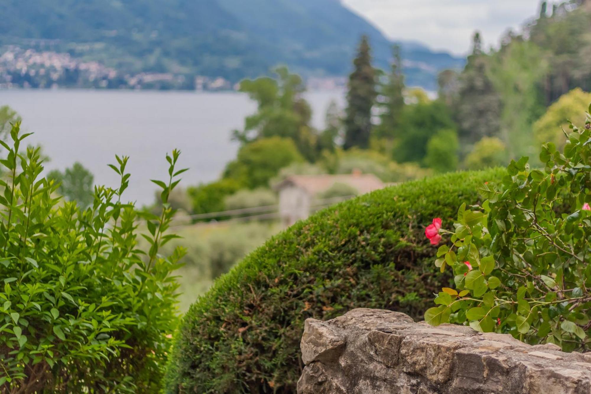 Ca' Maria Bellavista By Wonderful Italy Apartment เบลลาโจ ภายนอก รูปภาพ
